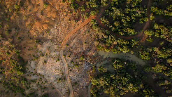 Aerial footage of deforested landscape next to forested one with a river full of life and biodiversi