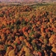 4K Drone flying over Autumn Fall Colored Forest in Wisconsin - VideoHive Item for Sale