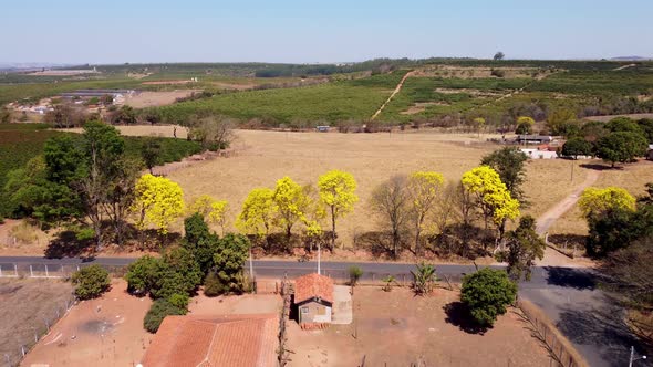 Rural road near farming landscape. Countryside rural scenery.