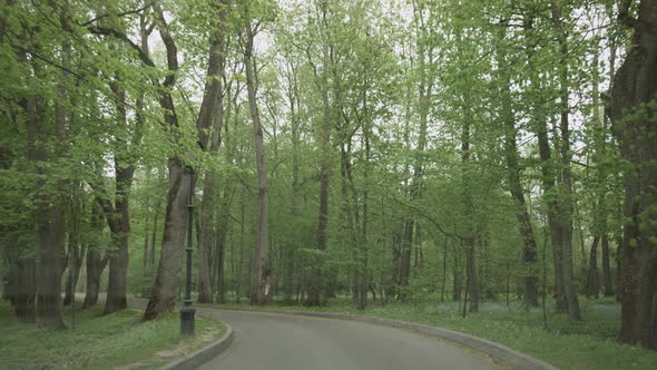 Car Drives Along Narrow Road in Old Green Park on Cloudy Day View From Window