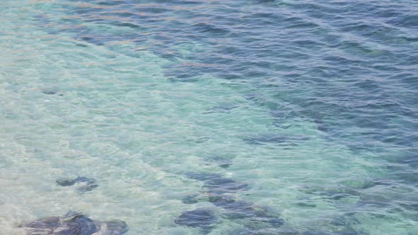 Seal Diving in Ocean Water Wild Sea Lion Swimming Underwater California Coast