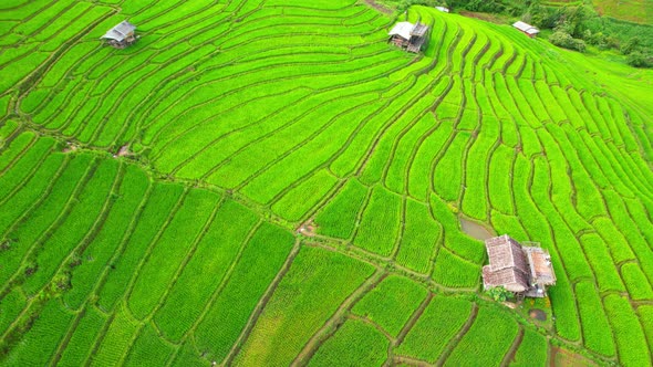 Aerial video of drones flying over rice terraces