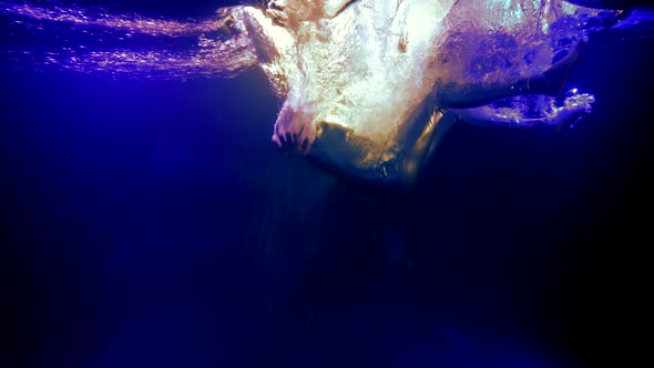 Woman in Silver Suit is Plunging in Dark Depth of Sea or Ocean Underwater Shot Slow Motion