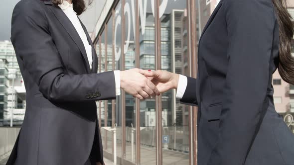 Partial View of Coworkers Shaking Hands