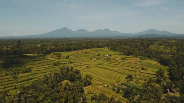 Mountain Landscape Valley Village Bali Indonesia