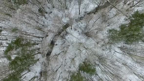 Aerial view of a small frozen lake in the middle of snowy forest in Estonia.