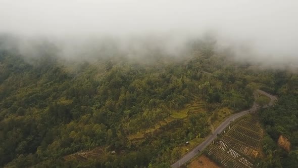 Farmland in the Mountains in the Cloud