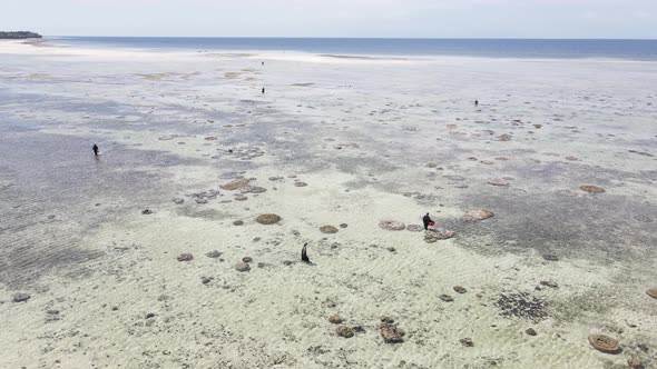 Ocean Near the Coast of Zanzibar Island Tanzania Slow Motion