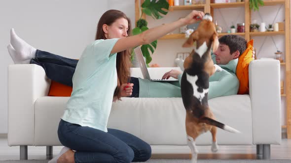 Woman Training Pet and Laughing Man Working with Laptop and Lying on Sofa in Home Interior Spbi