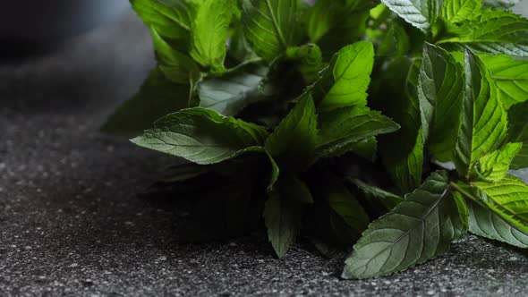 Fresh mint on the table close-up