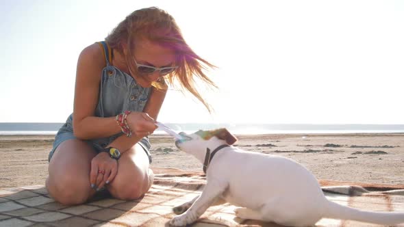 Young Stylish Hipster Playing Dog Puppy Jack Russell on the Beach Slow Motion