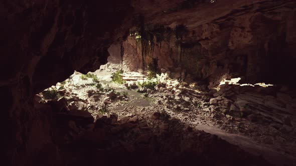 View From Inside a Dark Cave with Green Plants and Light on the Exit