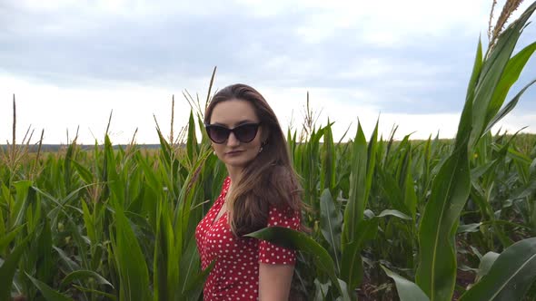 Attractive Cute Girl in Sunglasses with Long Brown Hair Standing in Corn Field, Turning To Camera