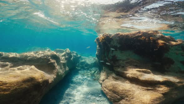 Rocky Seabed Under the Ocean