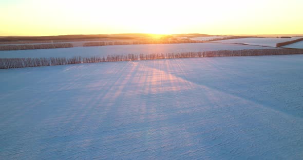 Sunset In Winter