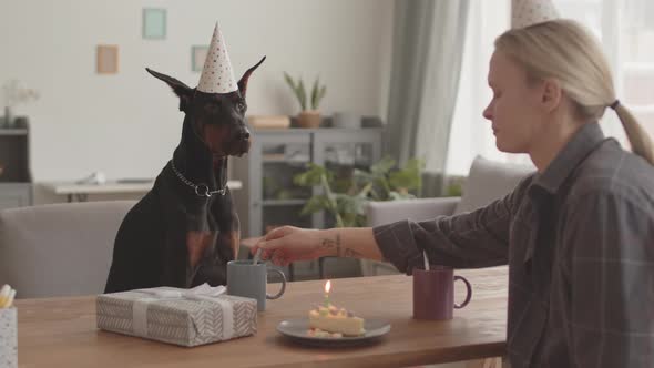 Dog Celebrating Birthday with Owner