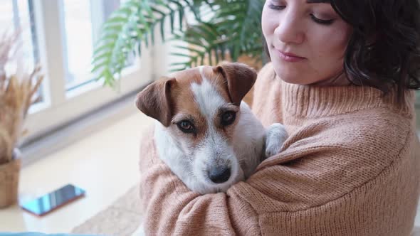 Portrait Jack Russell Dog in Arms Young Beautiful Woman European Appearance