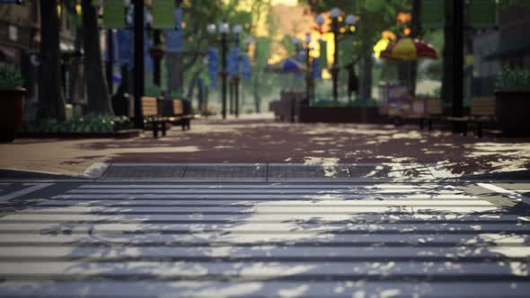 Quiet City Park with Trees and Benches