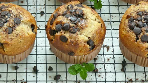 Sweet dessert with muffin chocolate