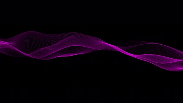 Pink Color Digital Particle Line Wave Animation