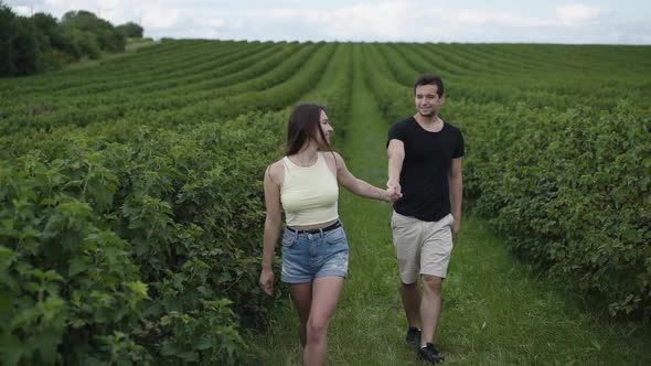 Lovely Couple Walks Among Currant Plantation and Man Twisting Girl
