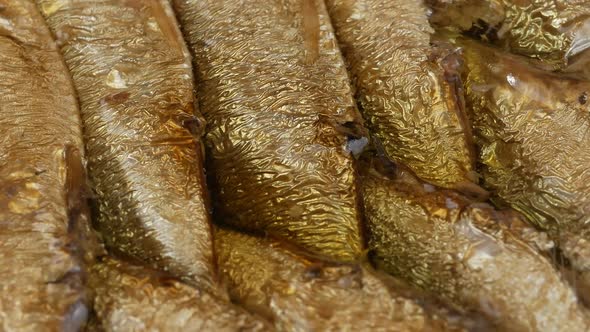 golden sprats in open can