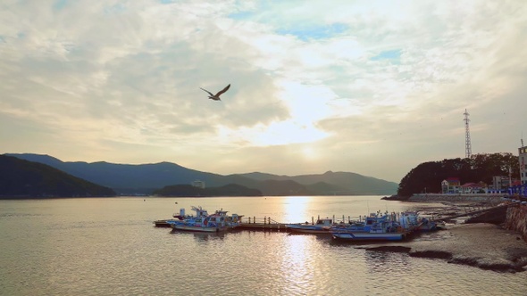 Fishing village sunrise and seagulls