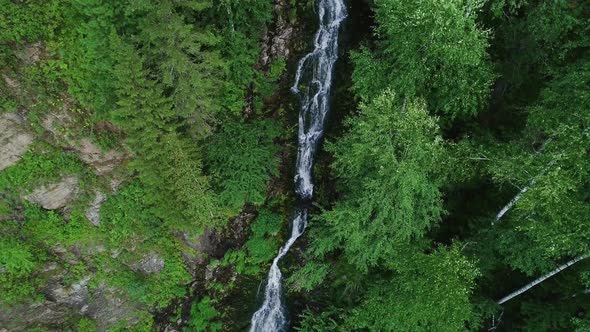 Waterfall in the forest 