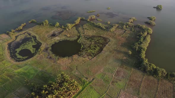 Kerala riverside view with mangroves and farm land on the river banks