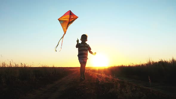 A Boy Playing with a Kite in the Meadow