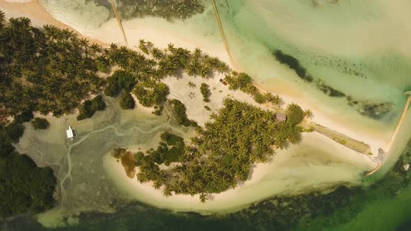 Tropical Beach with and Turquoise Sea