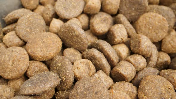 macro shot of dry dog food