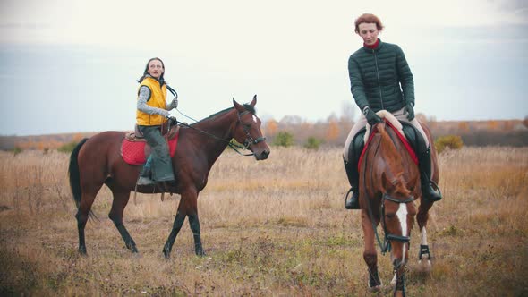 Two Women Are Riding Horses Which Are Grazing on the Field