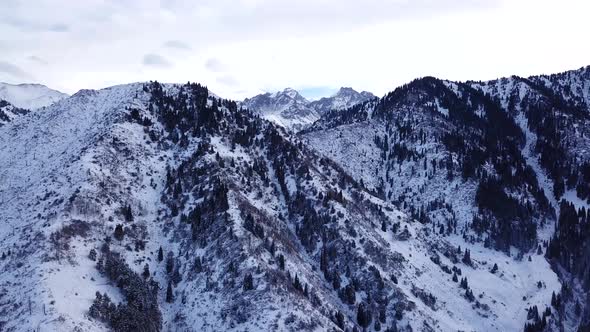 Winter Forest and High Mountains Covered with Snow