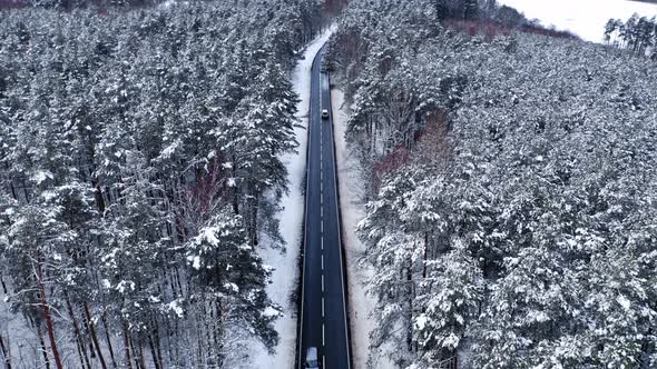 Transportation in winter. Asphalt road leading through the snowy forest.