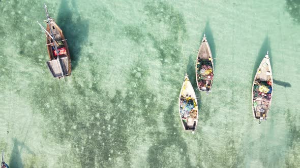 Boats in the Ocean Near the Coast of Zanzibar Tanzania Slow Motion