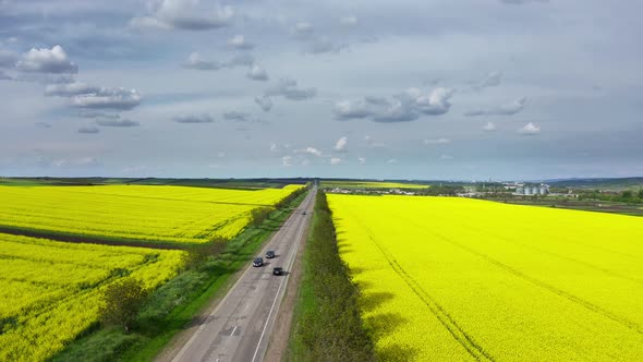 Aerial View of Yellow Blooming Oilseed Rape Fields