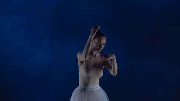 Graceful Ballerina in Tutu Performing Ballet. Close Up, Slow Motion.