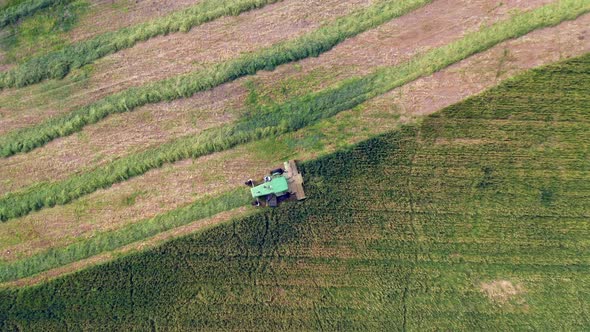 Combine harvesting Wheat for silage, Aerial view