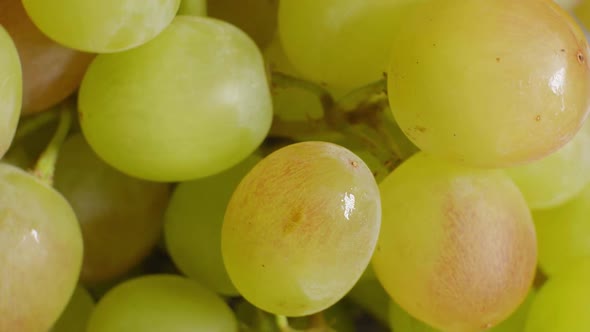 Delicious Ripe Grapes Closeup Soft Focus