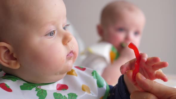 Mother Giving Her Baby Twins Red Pepper. Vegetables For Healthy Baby Nutrition. 