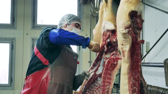 Male Butcher Cuts Carcass at Slaughterhouse