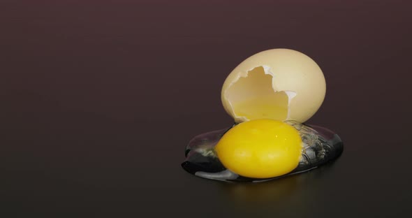 Egg Yolk Poured Out From Broken Eggshell on Black Surface