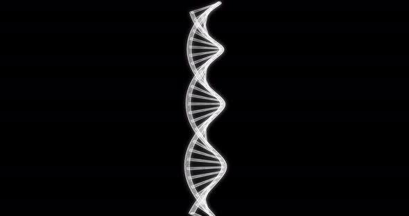 Hologram Screen of a Chain of DNA