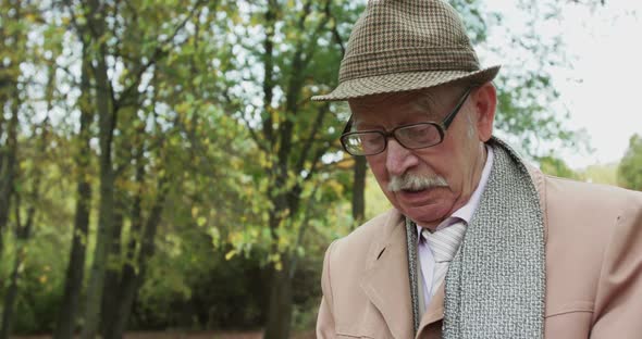 Close Portrait of Senior Man's Expression Who Notes Something in Sunny Park