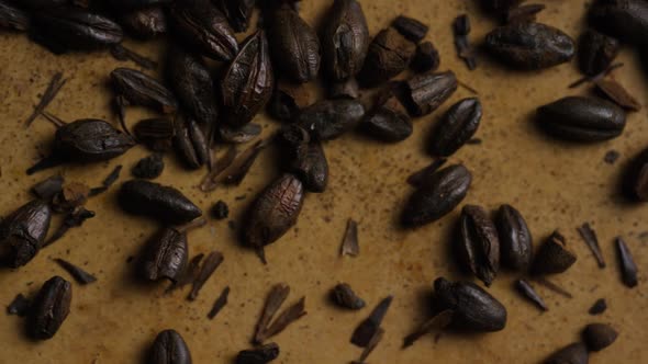 Rotating shot of barley and other beer brewing ingredients