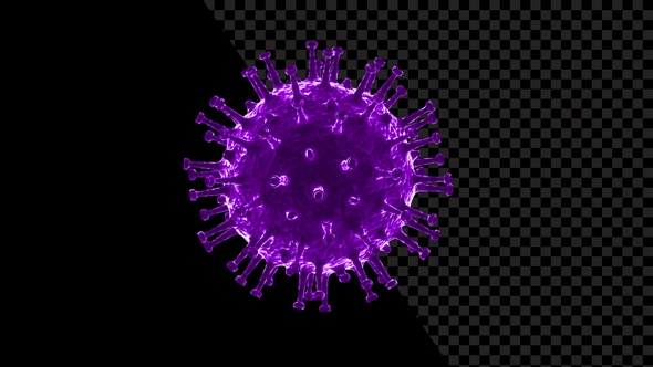 Coronavirus Visualization Covid 19 V6