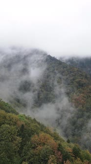 Vertical Video of Fog in the Mountains