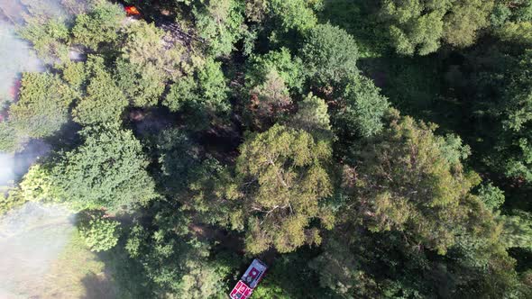 Firefighters extinguishing fire in Forest area. Nature Protection