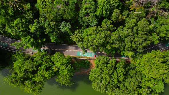 Aerial view Top-down green nature public park. Bike cycle way under green tree.